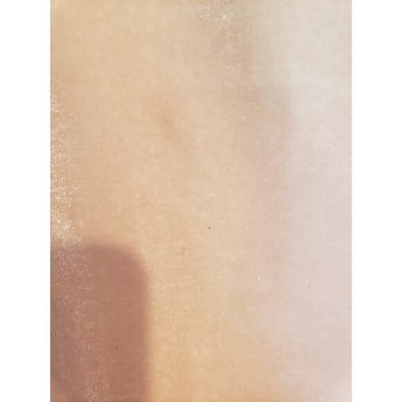 Free People Womens Terese Velvet Crop Top Small Pink Smocked Tie Neck Oversized - Picture 11 of 16